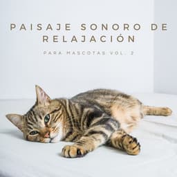 Paisaje Sonoro De Relajación Para Mascotas Vol. 2 - Relajamiento Total para las Mascotas