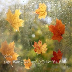 Baby: Calm Rain Music and Lullabies Vol. 2 - Baby Lullaby