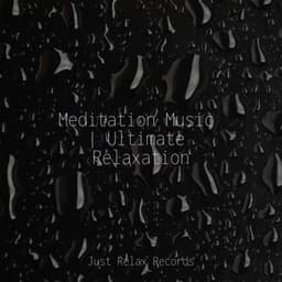 Meditation Music | Ultimate Relaxation - Schlaflieder Für Kinder