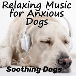Relaxing Music For Anxious Dogs - Soothing Dogs