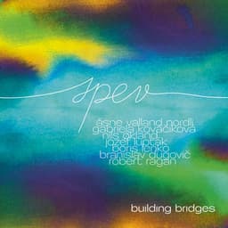 SPEV - Building Bridges