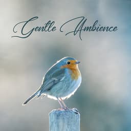 Gentle Ambience - Beth Souls