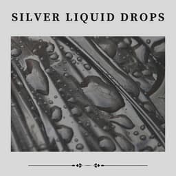 Silver Liquid Drops - Rainfall Place