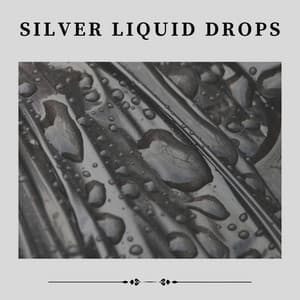 Silver Liquid Drops - Rainfall Place