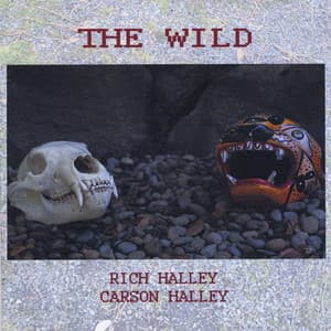 The Wild - Rich Halley