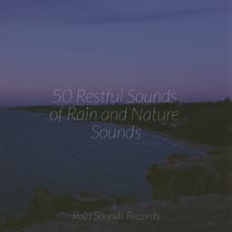 50 Restful Sounds of Rain and Nature Sounds - Relaxing Music