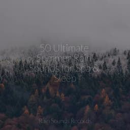 50 Ultimate Summer Rain Sounds for Spa & Sleep - Meeresrauschen