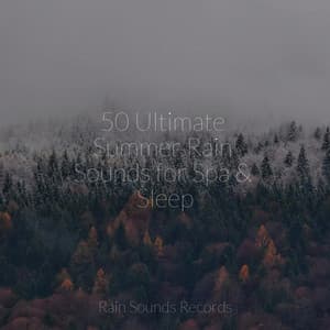 50 Ultimate Summer Rain Sounds for Spa & Sleep - Meeresrauschen