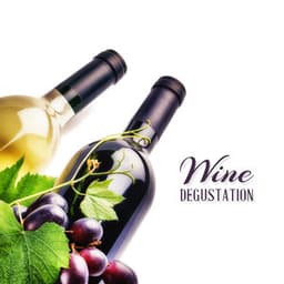 Wine Degustation - Music for Gourmets and Wine Connoisseurs - Instrumental Music Ensemble