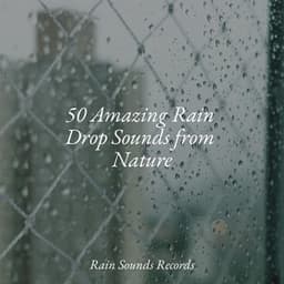 50 Amazing Rain Drop Sounds from Nature - Anxiety Relief