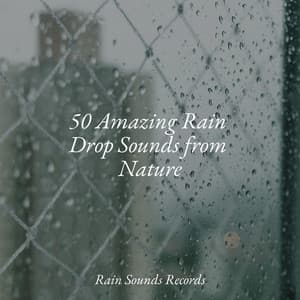 50 Amazing Rain Drop Sounds from Nature - Anxiety Relief