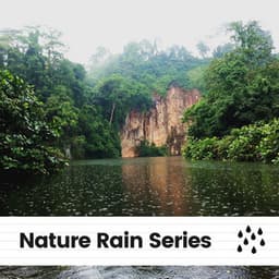 Nature Rain Series - Factorial FX