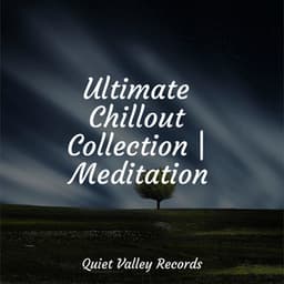 Ultimate Chillout Collection | Meditation - Lightning