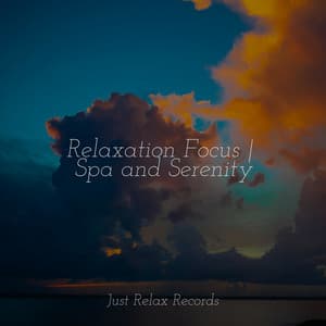 Relaxation Focus | Spa and Serenity - Soothing Sounds