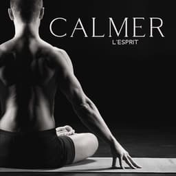 Calmer l'esprit: Musique apaisante pour retrouver le calme d’esprit et rester en paix - Ensemble de Musique Zen Relaxante