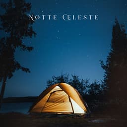 Notte Celeste: Echi dell’Universo - Relax ambientale musica zen club