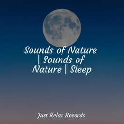 Sounds of Nature | Sounds of Nature | Sleep - Japanese Relaxation and Meditation