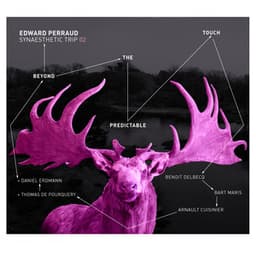 Synaesthetic Trip, Vol. 2 - Edward Perraud