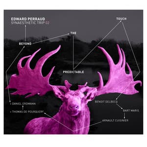 Synaesthetic Trip, Vol. 2 - Edward Perraud