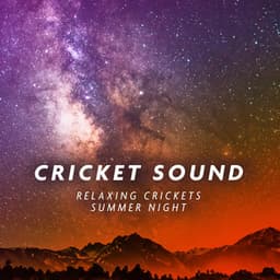 Relaxing Crickets Summer Night - Background Cricket Sounds for Sleep - Cricket Sound