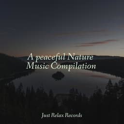 A peaceful Nature Music Compilation - Schlaflieder Für Kinder