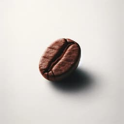 Cafe Area: Anatolian Style - Lounge Café