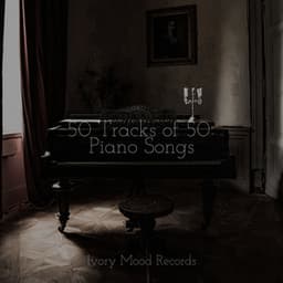 50 Tracks of 50 Piano Songs - Musica para Meditar