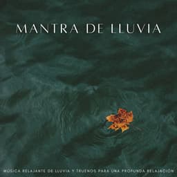Mantra De Lluvia: Música Relajante De Lluvia Y Truenos Para Una Profunda Relajación - Ejemplo de biblioteca de lluvia