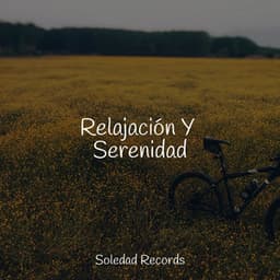 Relajación Y Serenidad - Canción de Cuna