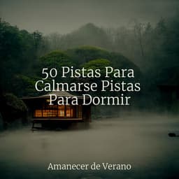 50 Pistas Para Calmarse Pistas Para Dormir - Mantra para Meditar