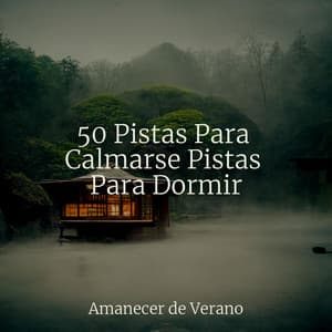 50 Pistas Para Calmarse Pistas Para Dormir - Mantra para Meditar