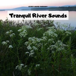 Tranquil River Sounds for Relaxation and Peaceful Sleep - River Sound Therapy