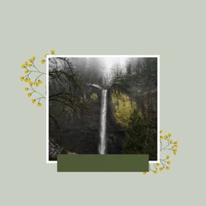 Backdrop for Refreshing Spring - Elevator Background Music Classics