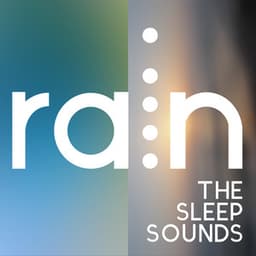 Rain: The Sleep Sounds - Rain Sounds Sleep