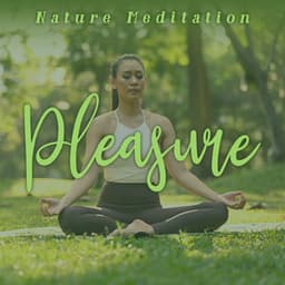 Nature Meditation Pleasure: Peaceful Relaxation Sounds - Mothers Nature Music Academy
