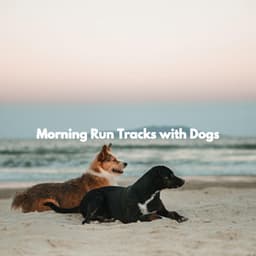 Morning Run Tracks with Dogs - Reading Background Music