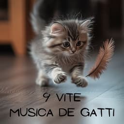 9 vite: Musica de gatti - Cats Music Zone