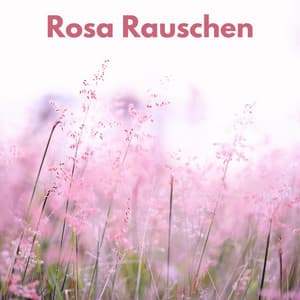 Rosa Rauschen - Weißes Rauschen HD