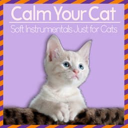 Calm Your Cat - Soft Instrumentals Just for Cats - Music For Pets