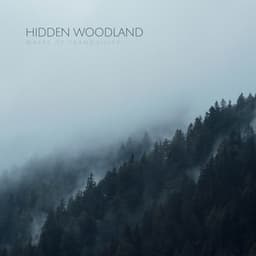 Hidden Woodland - Waves of Tranquility