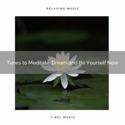 2020 Best: Tunes to Meditate, Dream and Be Yourself Now - Peaceful Sounds Zone