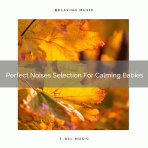 Perfect Noises Selection For Calming Babies - Calming Brown Restful Sounds