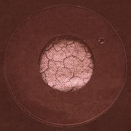 Just for Music - Paul Chambers