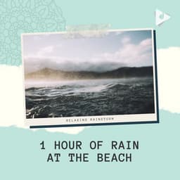 1 Hour of Rain at the Beach - Relaxing Rainstorm