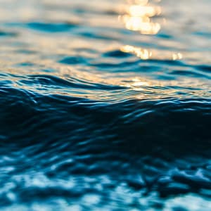 10 AM Wellness: Tranquil Tides - Coastal Sounds