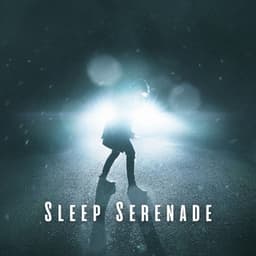 Sleep Serenade: Tranquil Rain and Crystal Singing Bowl Sounds - White Noise Rain