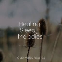 Healing Sleepy Melodies - Meditation Zen
