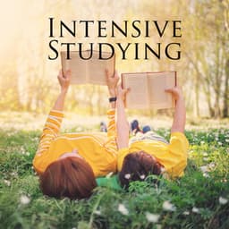 Intensive Studying: Homework Vibes, Calming and relaxing music - Brain Study Music Guys