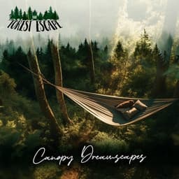 Canopy Dreamscapes - The Forest Escape