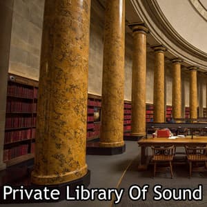 Private Library Of Sound - White Noise Research